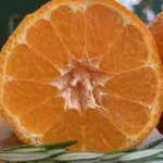 California Organic Tangerines – Colossal Mandarin “Gold Nugget”