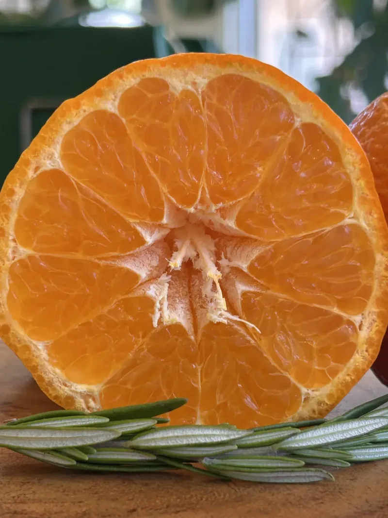 California Organic Tangerines – Colossal Mandarin “Gold Nugget”