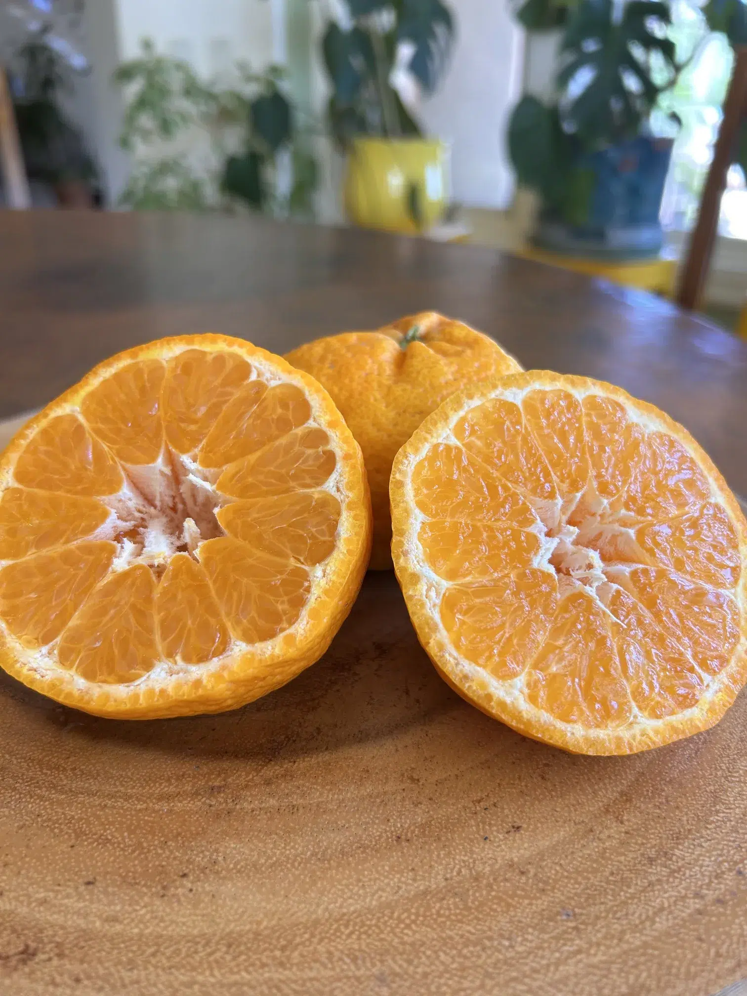certified organic tangerines from California