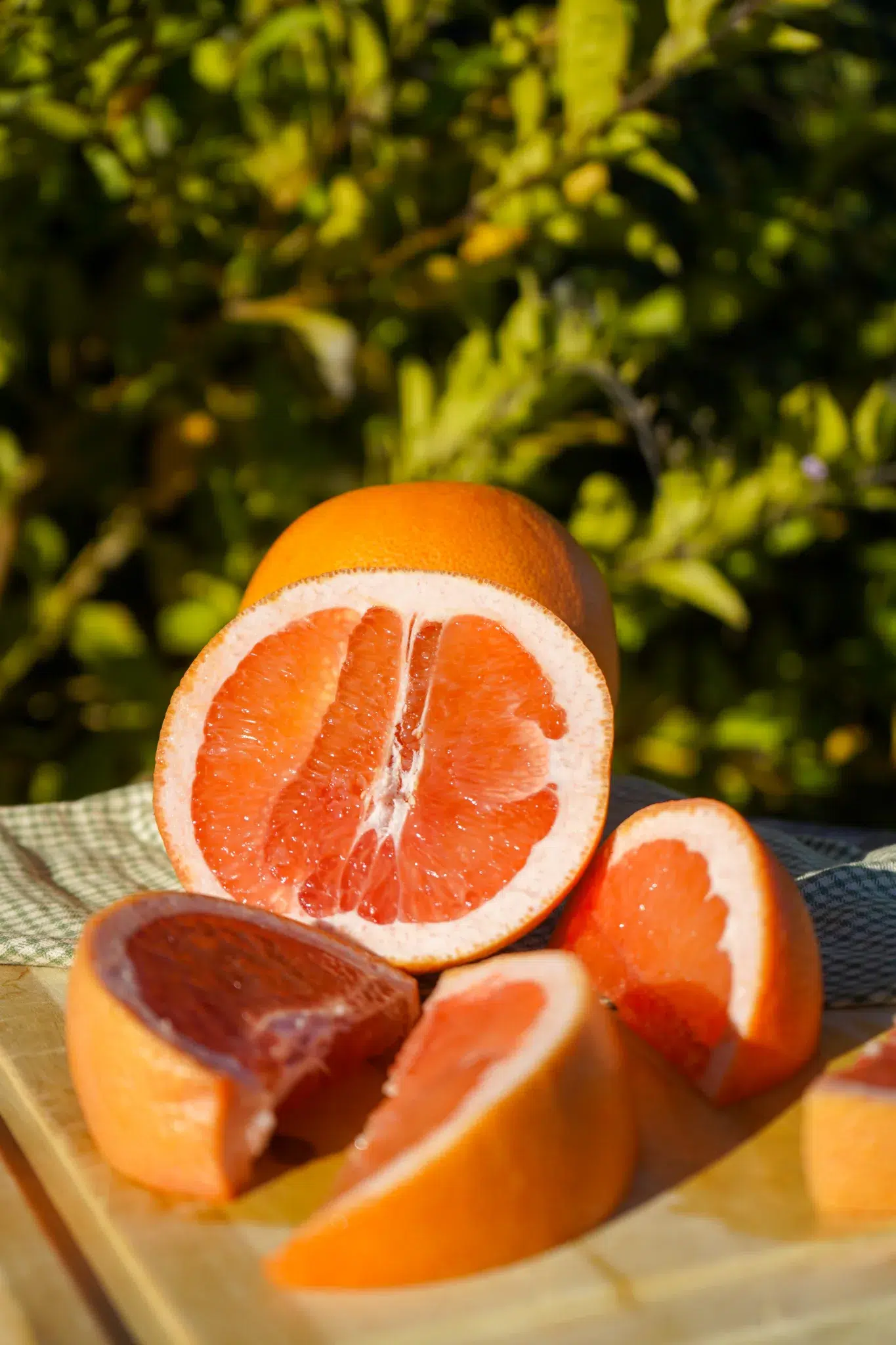 unwaxed organic grapefruit from california - pink ruby grapefruit shipped