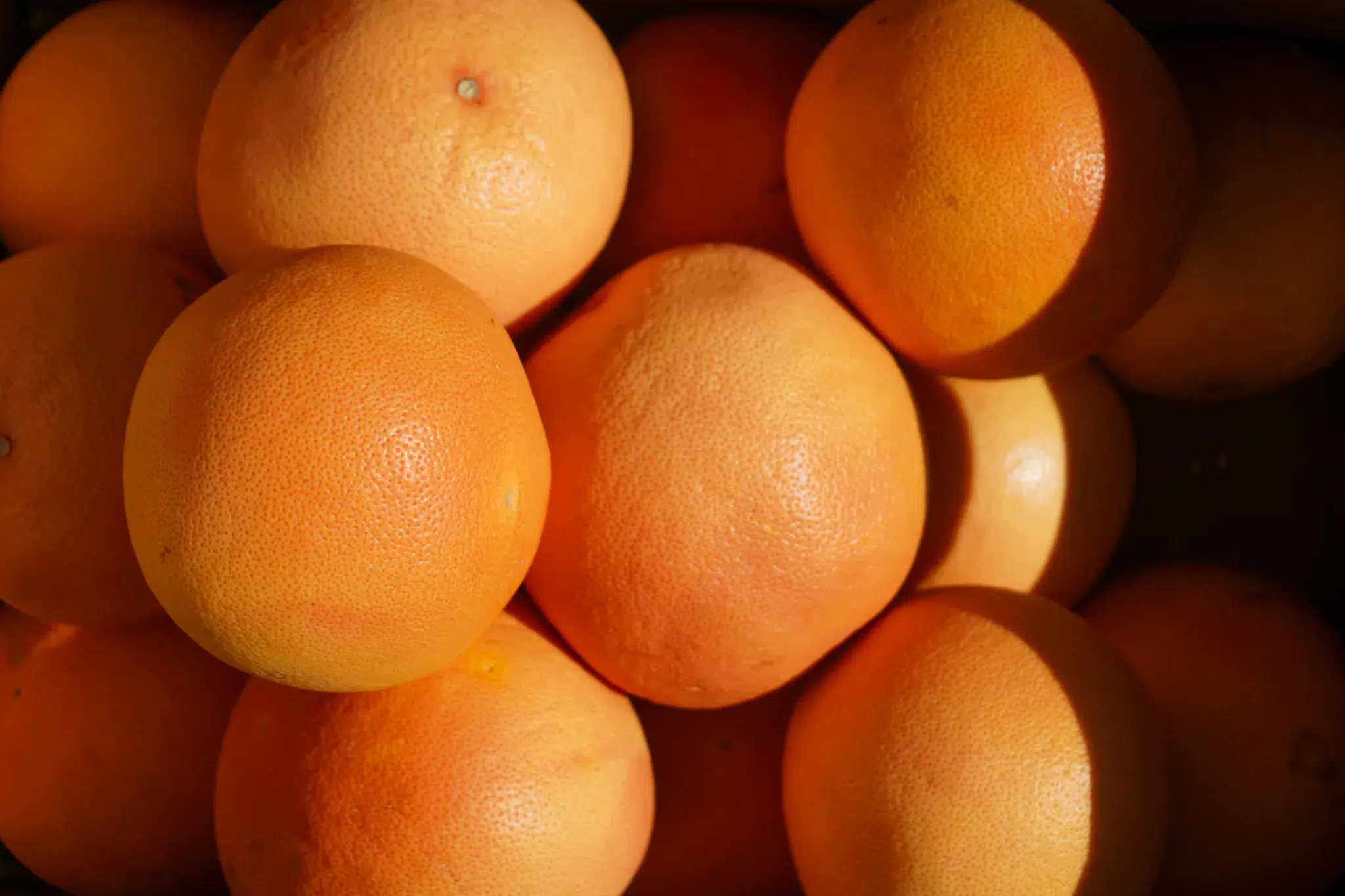 Organic grapefruit from California