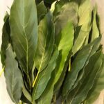 Organic Fresh Avocado Leaves for Tea (Hojas de Aguacate) in Bulk, Wholesale - Fresh from the Trees in California Orchard - Unwaxed Unsprayed Chemical-Free