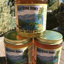 Raw Honey from California Orchards