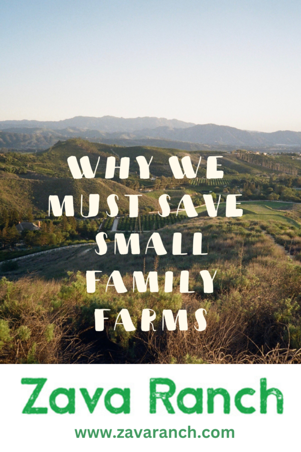 Why buy fruit from small farms?There are two primary reasons we have to save small family farms.