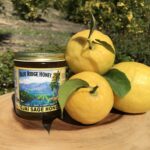 Get Well Soon Gift Box - Organic Lemons and Honey from California Orchard