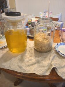 Organic lemons for Limoncello