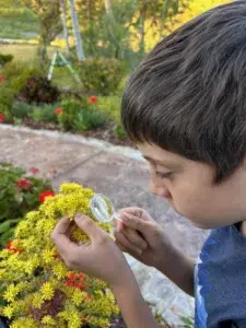 Nulish Farm Camp in Ventura County - Nature Summer Camp on a Farm - Moorpark, Camarillo, Ventura, Simi Valley, Somis, Thousand Oaks