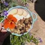 Organic Nut-Free Granola - Artisanal Small Batch