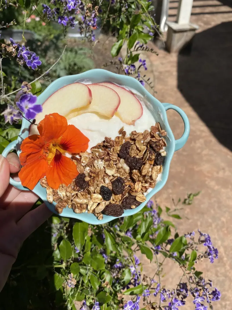 Organic Nut-Free Granola for Kids and Adults with Allergies