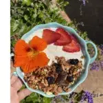 Organic Nut-Free Granola - Small Batch Artisanal Blend