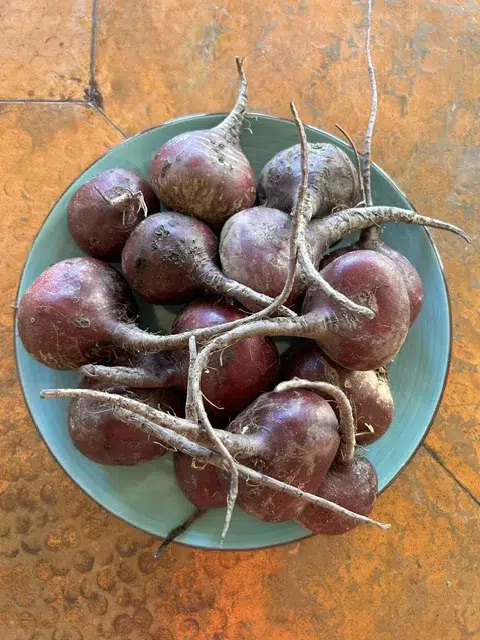 Fresh Certified Organic Beets from California - Great for Juicing - Shipped anywhere in the United States
