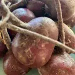 Fresh Certified Organic Beets from California - Great for Juicing - Shipped anywhere in the United States