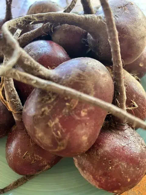Fresh Certified Organic Beets from California - Great for Juicing - Shipped anywhere in the United States